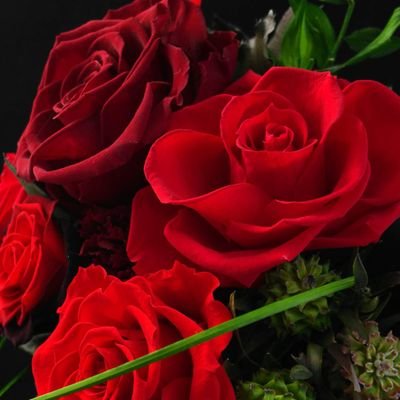 korocha57874891's profile picture. りずむらいす☝️に出会い、Fans'をきっかけにそれまで無縁だったTwitterをスタート✨

りずむらいす♥️🤍、峯崎圭輔さん、長谷川雄基さんを応援しています

大道芸、音楽全般🎼、THE ALFEEも好きなので、時々そちらのことも呟きます☺️