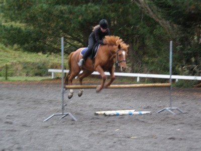 RavensIvy's profile picture. I am a sarcastic grammar nerd from Middle Earth. Previously I taught small young humans and laughed at their logic. It's the best! #betterworkstories