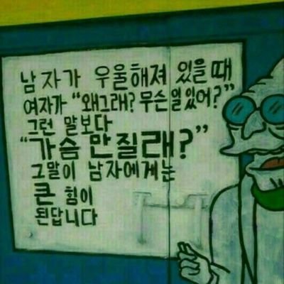 순애보