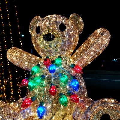 qjutxO6bJbzQvQv's profile picture. 参政党サポーター
動物大好き