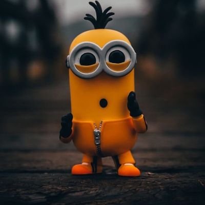 jack of all trades, master of all, everything crypto!!