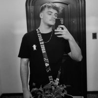 lins (@nicklinshalm) 's Twitter Profile