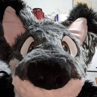 Pawsouls (@pawsouls) 's Twitter Profile Photo Pawsouls (@pawsouls) 's Twitter Profile Photo