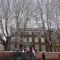 THG Conservation News (@thgconservation) 's Twitter Profile Photo THG Conservation News (@thgconservation) 's Twitter Profile Photo