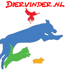 diervinder's profile picture. Via deze twitter pagina kunt u de status van de vermiste en gevonden huisdieren volgen en tevens alle update's van de website.