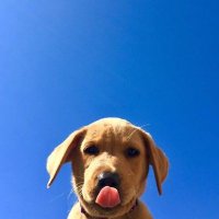 gab (@andreeygabb) 's Twitter Profile