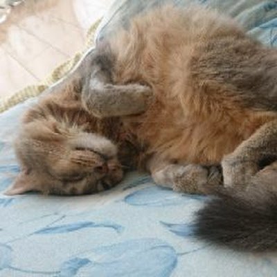 uYg7KjoMDR3QwrR's profile picture. 