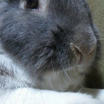 ゲームなどやる おはなししよう