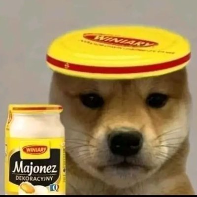 Maciejkaaa1's profile picture. | Michał | 21 | TTV: maciejkaaa1 | DC: Maciejkaaa1#1019 |