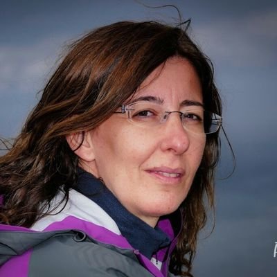 AuxVil's profile picture. Professor, University of Extremadura @infouex