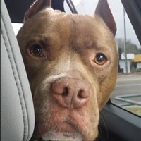 Donna Edwards (@edwardsdna) 's Twitter Profile Photo Donna Edwards (@edwardsdna) 's Twitter Profile Photo