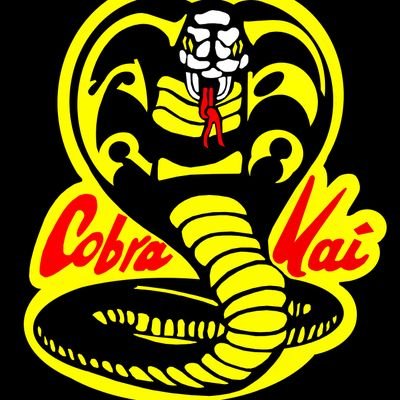 Cobra Kai is the best dojo in the valley