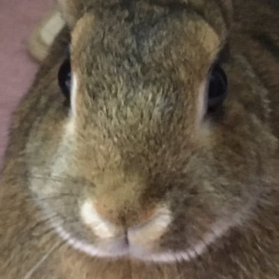 Rinsa0217's profile picture. 漫画とゲーム好き 絵も時々描く ポケモン、ボカロ好き 最近はユナイトハマってる