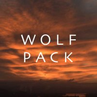 wolf pack (@wolfpackonpplus) 's Twitter Profile