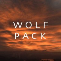 wolf pack(@WolfPackOnPPlus) 's Twitter Profileg