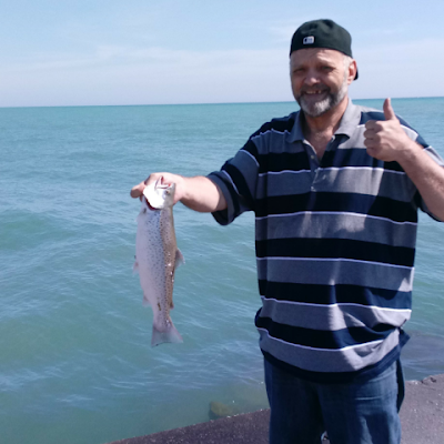 toddthornton287's profile picture. 