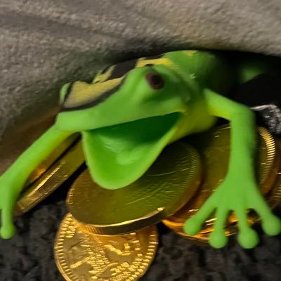 Frog_with_Coins Profile Picture