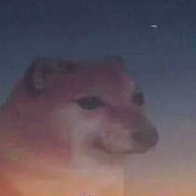 Androido19's profile picture. Cachorro e tarado🐕