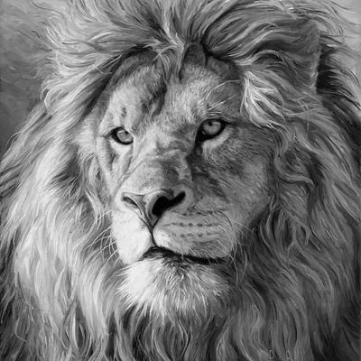 AdrianL63901894's profile picture. 