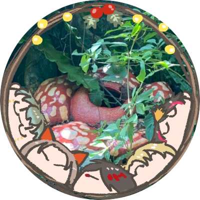 3rddeii's profile picture. Taiwanese 20↑腐雜食/FUB FREE/TL雜/ENG⭕️ JP🔰/好可愛bot/🌈🕒✌️⚔️🌇🌷Luxiem/ I don car, I do my own thing