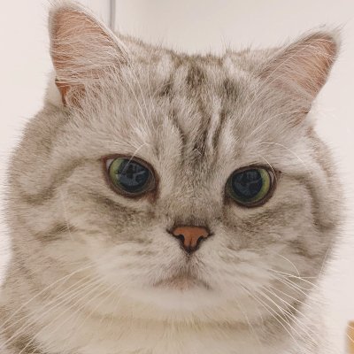 I don't tweet, don't follow me. I'm not a nice person, don't expect me to be nice.
https://t.co/uePB0AtMtj