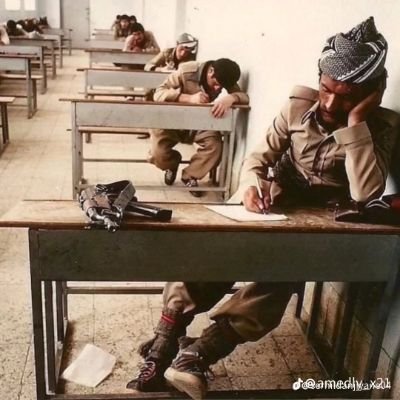 Alishwani13's profile picture. 