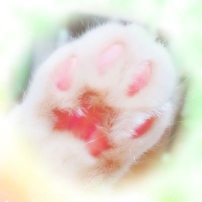 日常垢に大変身しました(*^^*)好きな物いーーーーっぱい!ねこだったり、ネコだったり、猫だったり、パンダだったり!
ゲーム垢@pepenpuipui