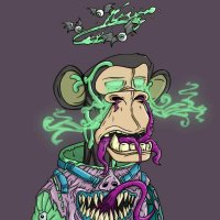 Erina Willy (@willyerina) 's Twitter Profile