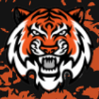 Little Tigers Basketball(@ltb_thetigerway) 's Twitter Profile Photo