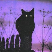 Jules (@jules_tarot28) 's Twitter Profile