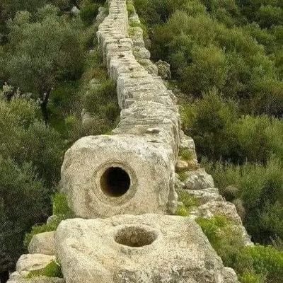 hafiz5550's profile picture. د اسلام څخه دفاع کوو !