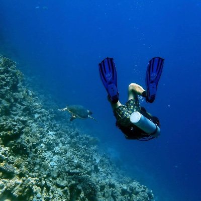 deepbluediver77 Profile Picture