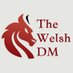 The Welsh DM ➡️Dragonmeet 30/11 (@thewelshdm) Twitter profile photo The Welsh DM ➡️Dragonmeet 30/11 (@thewelshdm) Twitter profile photo