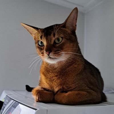 Alytuiere's profile picture. Everyone shines, given the right lighting