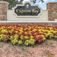 Cypress Bay(@CypressBay3656) 's Twitter Profile Photo