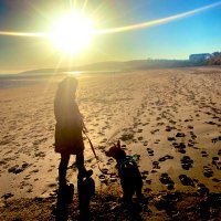 Vanessa Pulgarin (@pulgarinnessa) 's Twitter Profile Photo