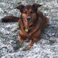 Scott West (@scottwest19) 's Twitter Profile