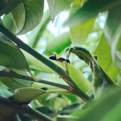 SauveurVoltage's profile picture. Passionné par tout ce qui raconte des histoires.