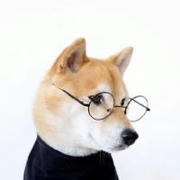 Millennium Fox (@satoshiisyou) 's Twitter Profile