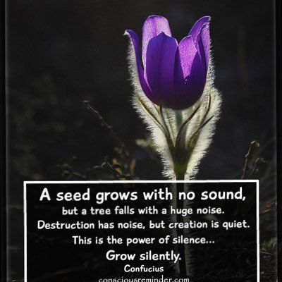 Steven36836479's profile picture. 