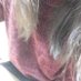 冴希 (@1x62pv4pc) Twitter profile photo 冴希 (@1x62pv4pc) Twitter profile photo