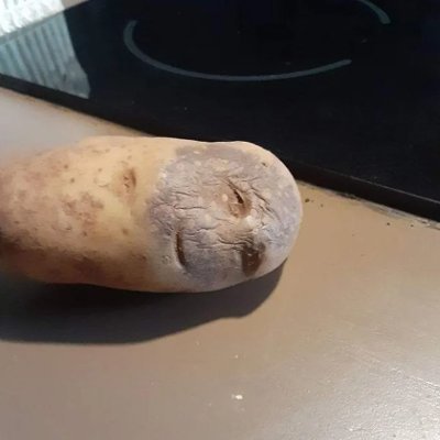 eggsisnteggs's profile picture. 