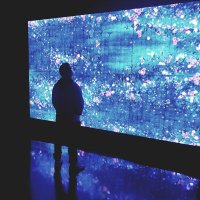 Christian Garcia (@pephitogrillo) 's Twitter Profile