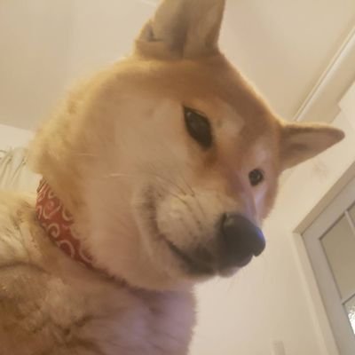 09yIGsMsevBHxYj's profile picture. 保育士です/保育士と関わりたい/もちろん保護者の方でも/あるある/給料安いので、良いところに転職しました/からの、ブラック/子育てして働きながら独学で免許取得しました