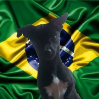 Jairo (@saproborges) 's Twitter Profile