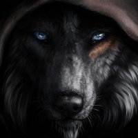 Alpha 𧬠π₯·πͺ βοΈ (@alpharezcc) 's Twitter Profile