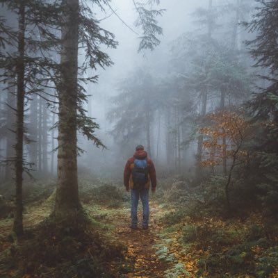 Piri from switzerland , Instagram: https://t.co/gpX22JFTFf , trees and Fog, #waldpoesie #treepoetry alle meine Tweets sind #vegan