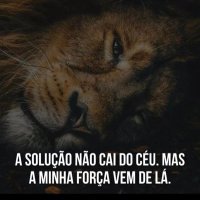 Robin hoje (@dasguerra33) 's Twitter Profile