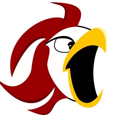 Gamecocks Athletics Media Page | Home of the Best Fanbase In CFB | The Real USC and Carolina | #spursup #clemsux #ourstate #beamerball