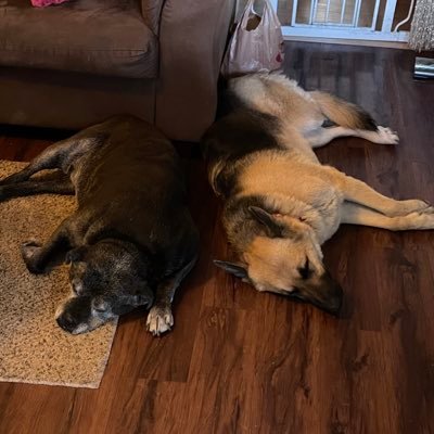 EdwardR66755727's profile picture. 